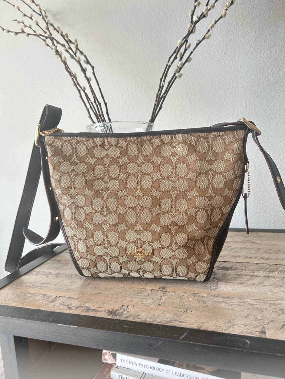 Coach Brown & Beige Signature Canvas Shoulder Bag